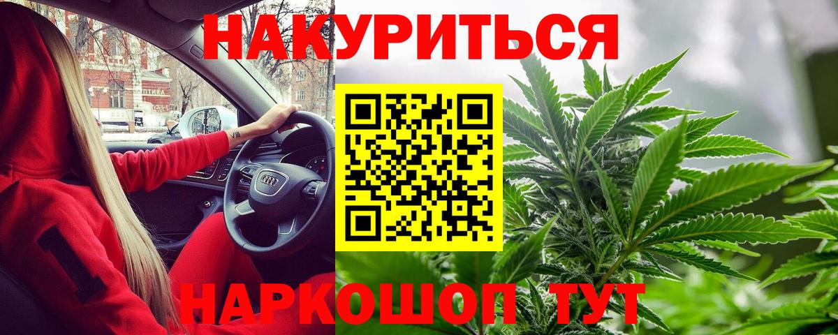Канабис сатива Нальчик
